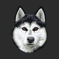 Siberian Husky Embroidered Classic Long Sleeve Shirt