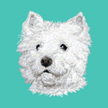 West Highland White Terrier Embroidered Baseball Cap