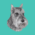 Standard Schnauzer Embroidered Baseball Cap
