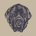 Mastiff Embroidered Crossbody Bag