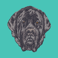 Mastiff Embroidered Baseball Cap