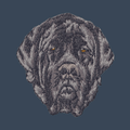 Mastiff Embroidered Women's Denim Shirt