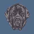 Mastiff Embroidered Women's Denim Shirt