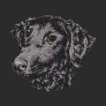 Curly Coated Retriever Embroidered Classic Long Sleeve Shirt