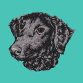 Curly-Coated Retriever Embroidered Baseball Cap