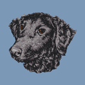 Curly-Coated Retriever Embroidered Men's Denim Shirt