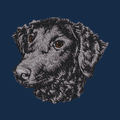 Curly-Coated Retriever Embroidered Men's Denim Shirt