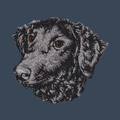 Curly-Coated Retriever Embroidered Women's Denim Shirt