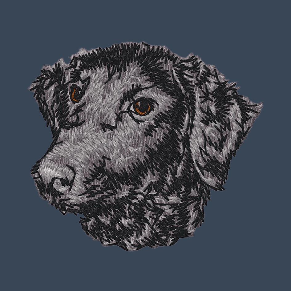 Curly-Coated Retriever Embroidered Women's Denim Shirt