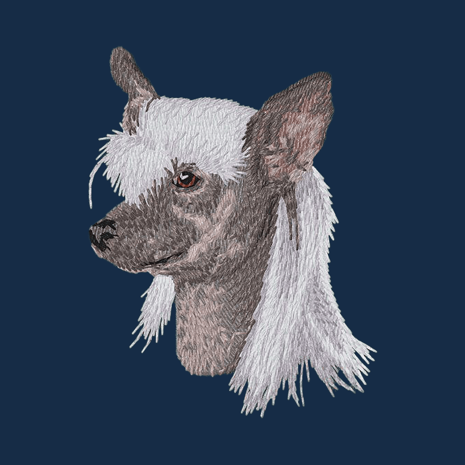 Chinese Crested Embroidered Men's Denim Shirt