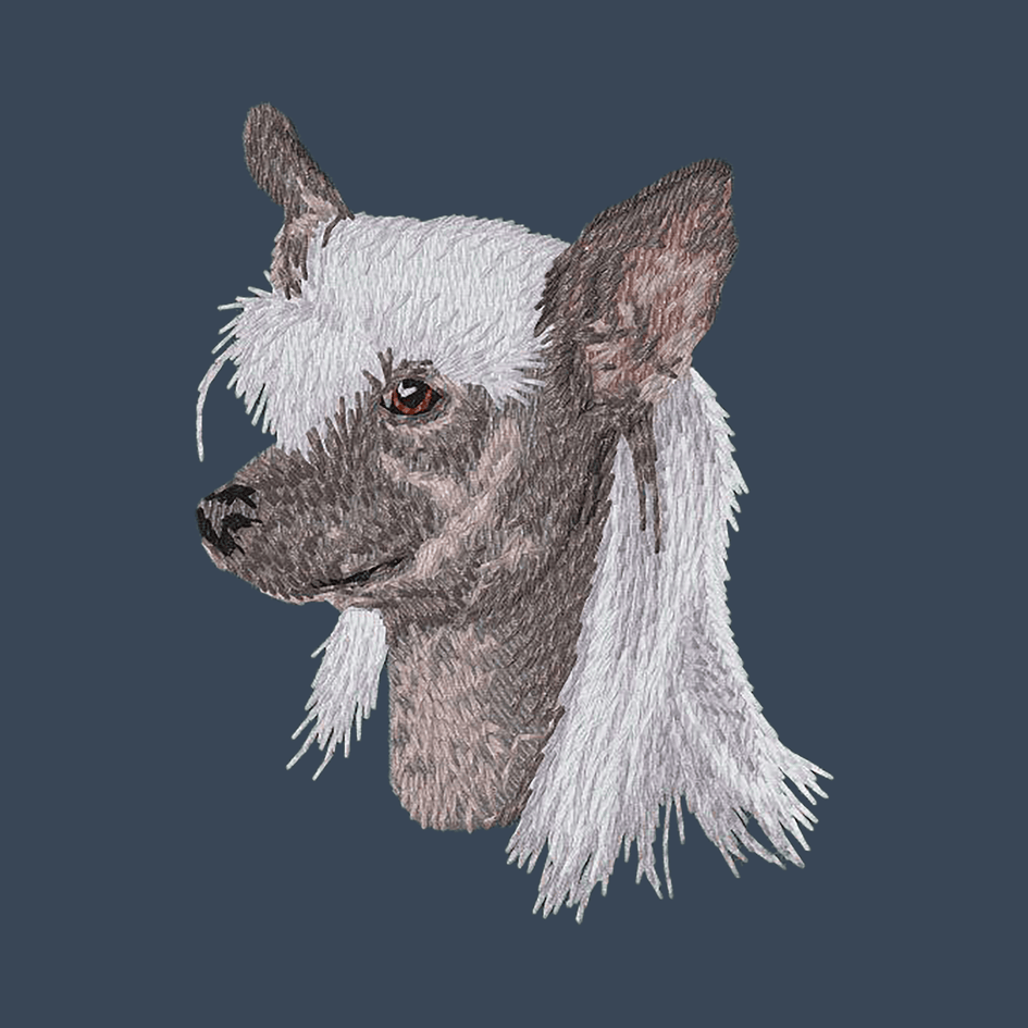 Chinese Crested Embroidered Women's Denim Shirt