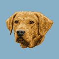 Chesapeake Bay Retriever Embroidered Classic Long Sleeve Shirt