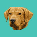 Chesapeake Bay Retriever Embroidered Baseball Cap