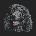 Irish Water Spaniel Embroidered Sweatshirt Hoodie