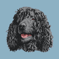 Irish Water Spaniel Embroidered Sweatshirt Hoodie