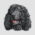 Irish Water Spaniel Embroidered Sweatshirt Hoodie