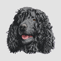 Irish Water Spaniel Embroidered Classic Long Sleeve Shirt