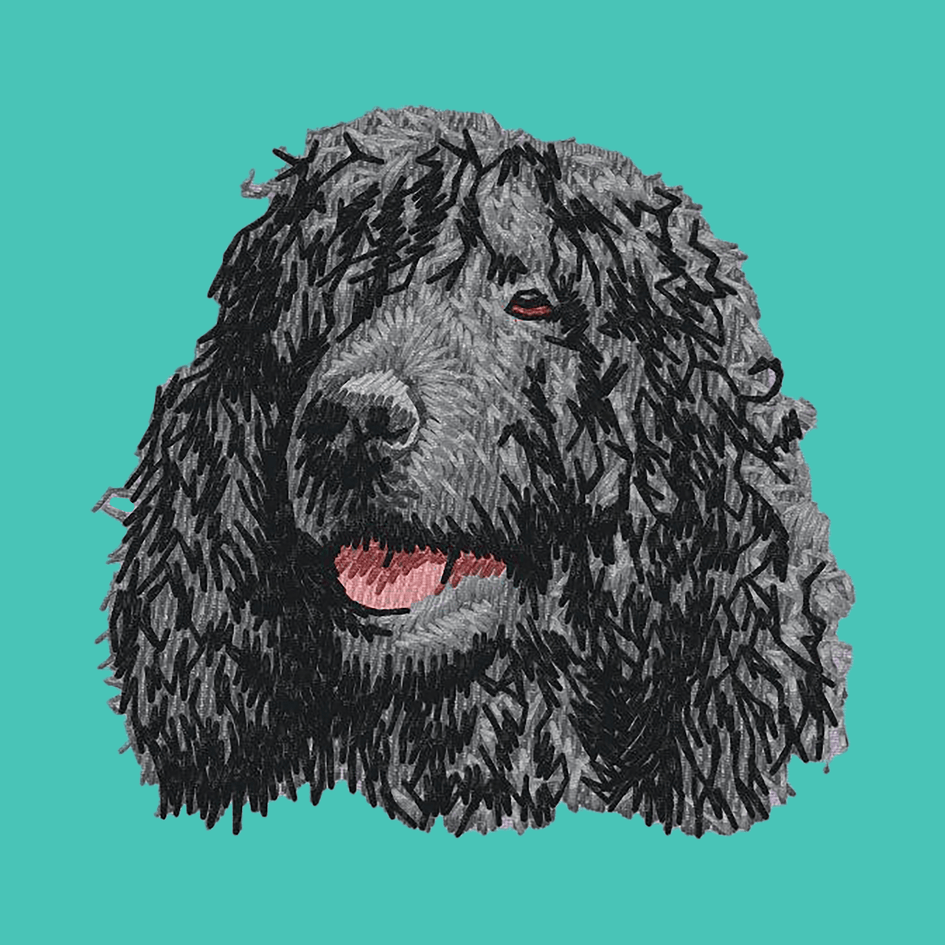 Irish Water Spaniel Embroidered Baseball Cap