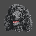 Irish Water Spaniel Embroidered Men's Fleece Jacket