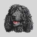 Irish water Spaniel Embroidered Mock Neck Sweatshirt