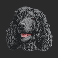 Irish Water Spaniel Embroidered Wearable Blanket