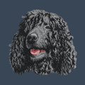 Irish Water Spaniel Embroidered Women's Denim Shirt