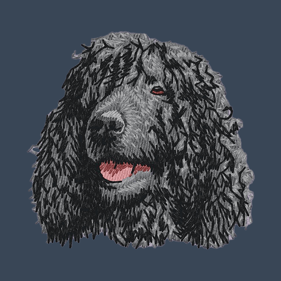 Irish Water Spaniel Embroidered Women's Denim Shirt