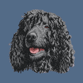 Irish Water Spaniel Embroidered Women's Denim Shirt