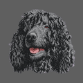 Irish Water Spaniel Embroidered Women's Fleece Jacket