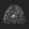 Puli Embroidered Sweatshirt Hoodie