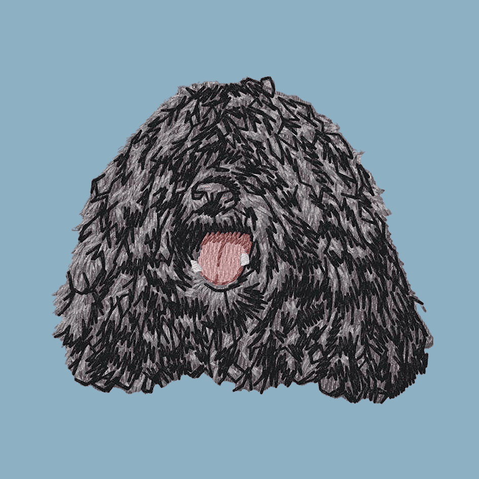 Puli Embroidered Sweatshirt Hoodie