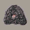 Puli Embroidered Sweatshirt Hoodie