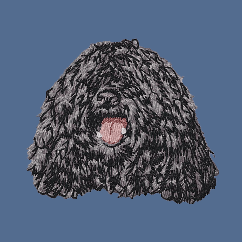 Puli Embroidered Baseball Cap
