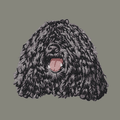 Puli Embroidered Baseball Cap