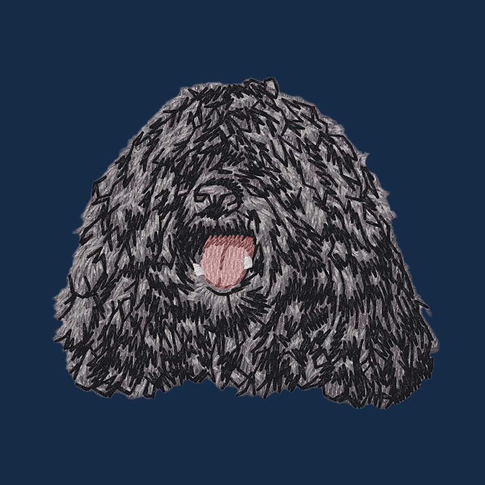 Puli Embroidered Men's Denim Shirt