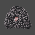 Puli Embroidered Men's Fleece Jacket