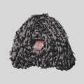 Puli Embroidered Mock Neck Sweatshirt