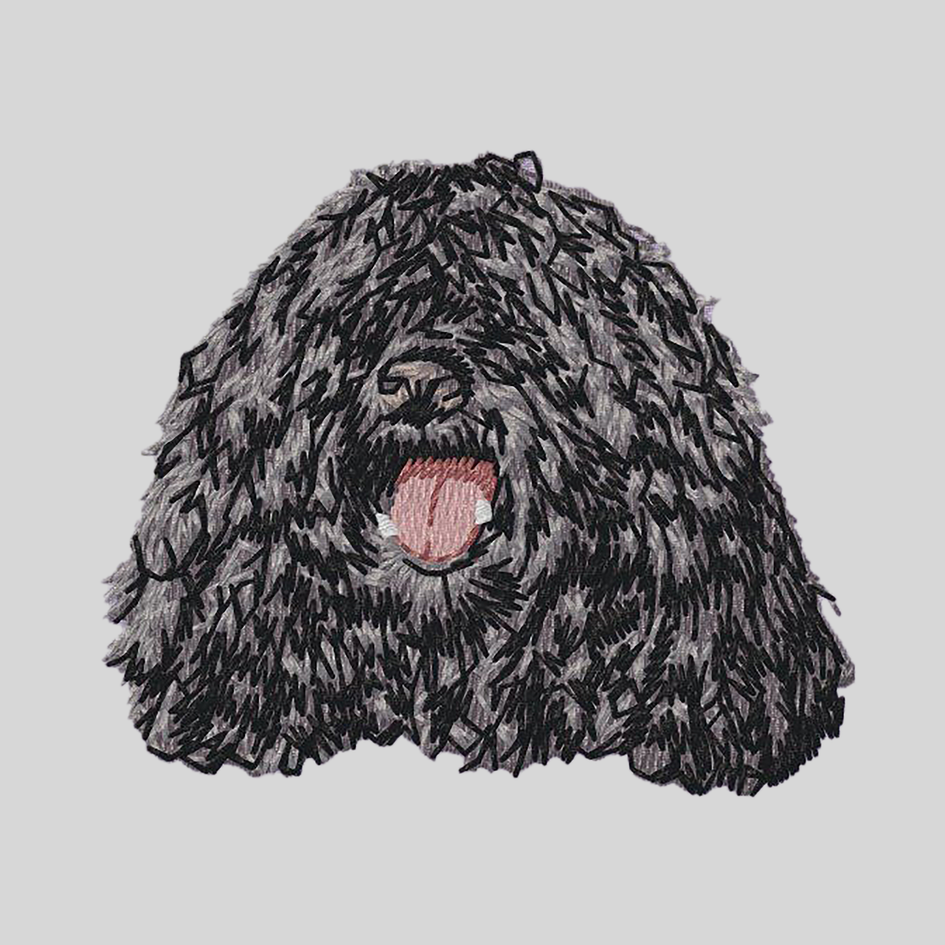 Puli Embroidered Mock Neck Sweatshirt