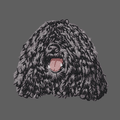 Puli Embroidered Women's Fleece Jacket