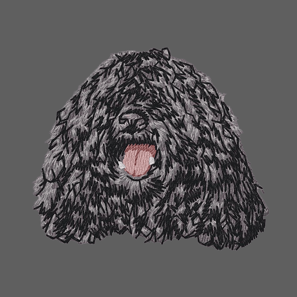Puli Embroidered Women's Fleece Jacket