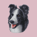 Border Collie Embroidered Baseball Cap