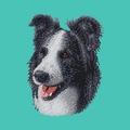Border Collie Embroidered Baseball Cap