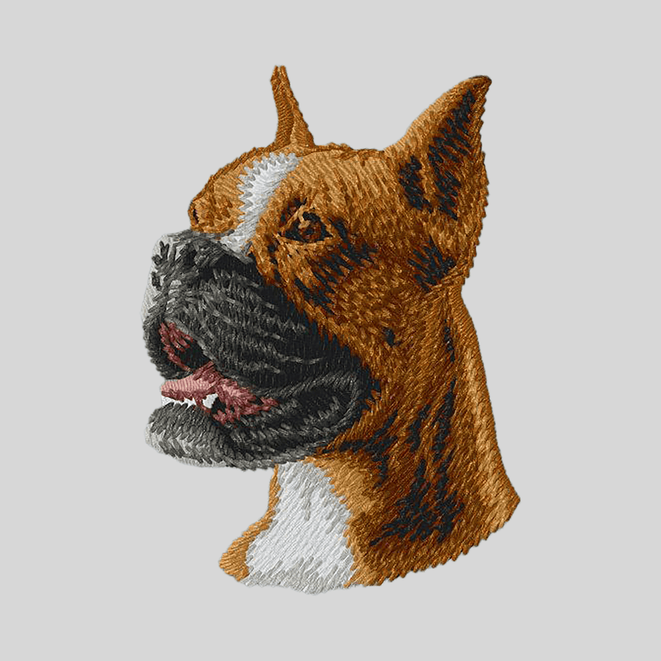 Boxer Embroidered Mock Neck Sweatshirt