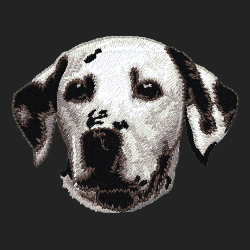 Dalmatian Embroidered Sweatshirt Hoodie
