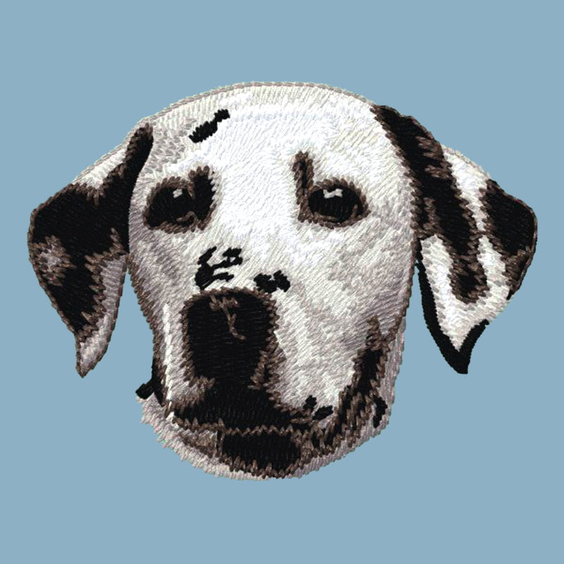 Dalmatian Embroidered Sweatshirt Hoodie