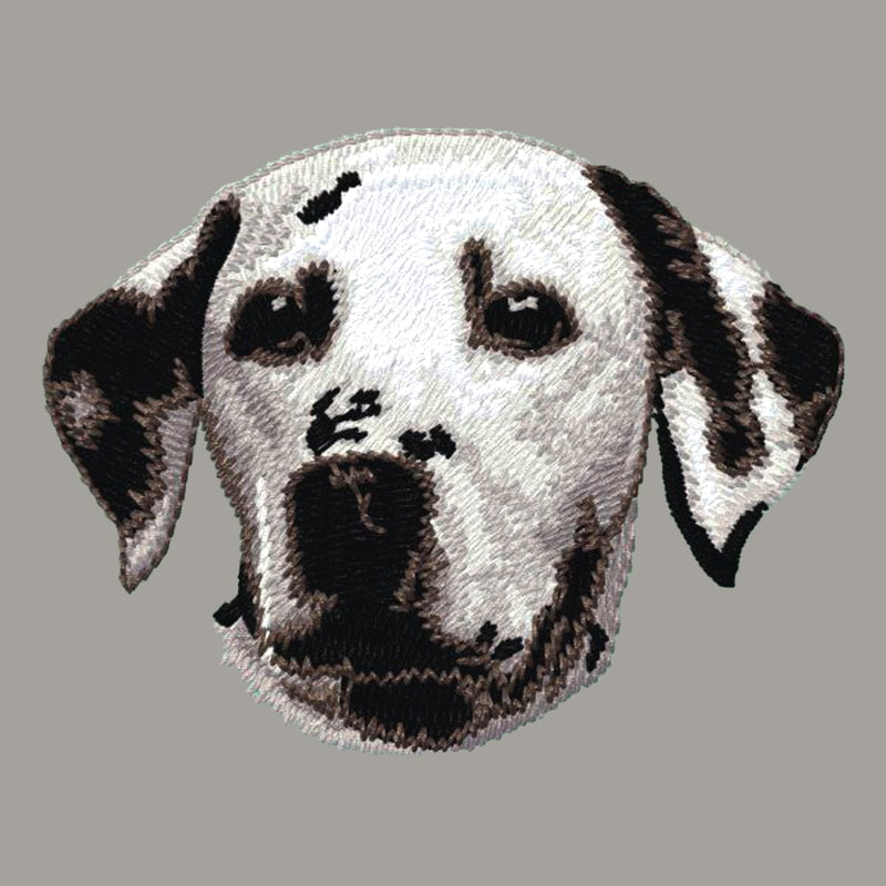 Dalmatian Embroidered Sweatshirt Hoodie
