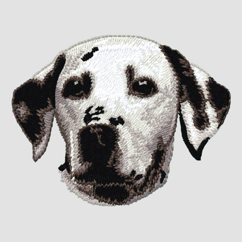 Dalmatian Embroidered Sweatshirt Hoodie