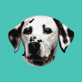 Dalmatian Embroidered Baseball Cap