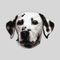 Dalmatian Embroidered Mock Neck Sweatshirt