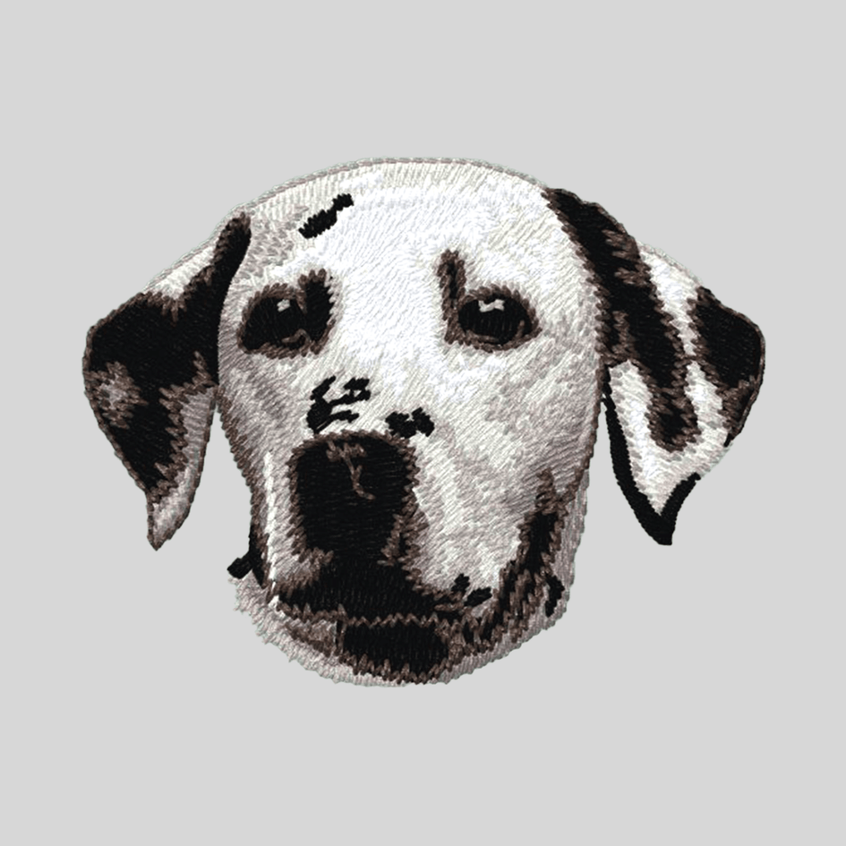 Dalmatian Embroidered Mock Neck Sweatshirt